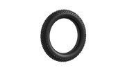 Outer Tire view 5
