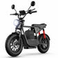 Windhorse D1 - WINDHORSE