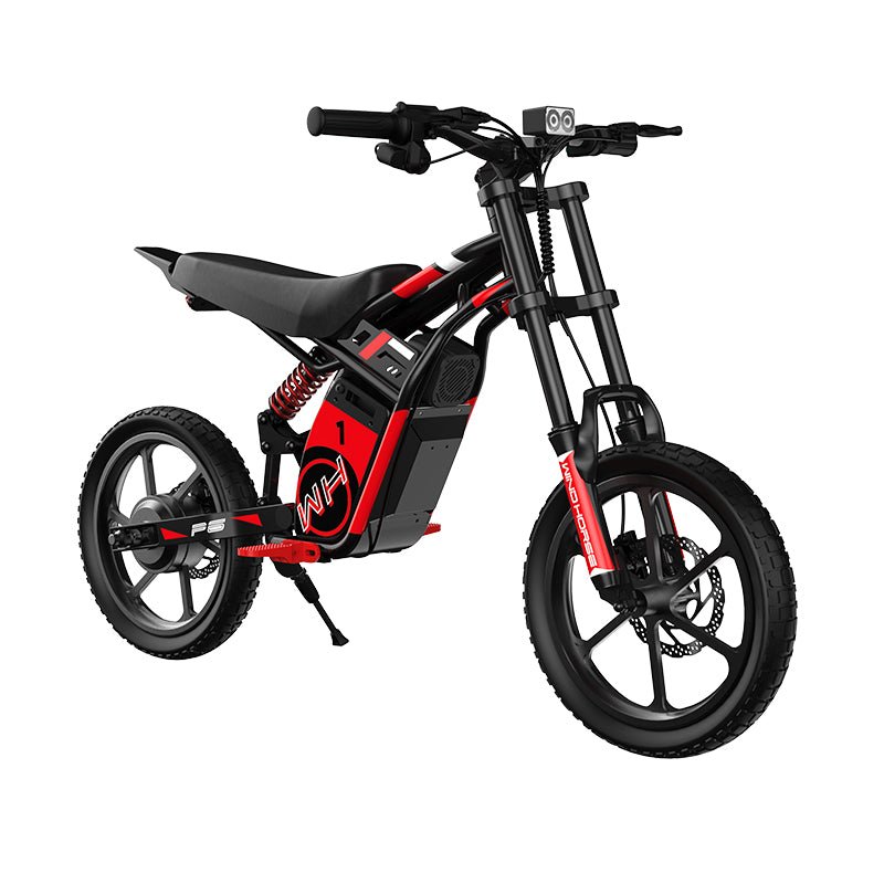 Windhorse P6 - WINDHORSE