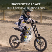Windhorse P6 view 8