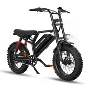 Windhorse V8 SE view 2