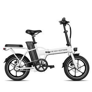 Windhorse W2A - WINDHORSE